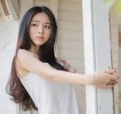 行业荣誉分类